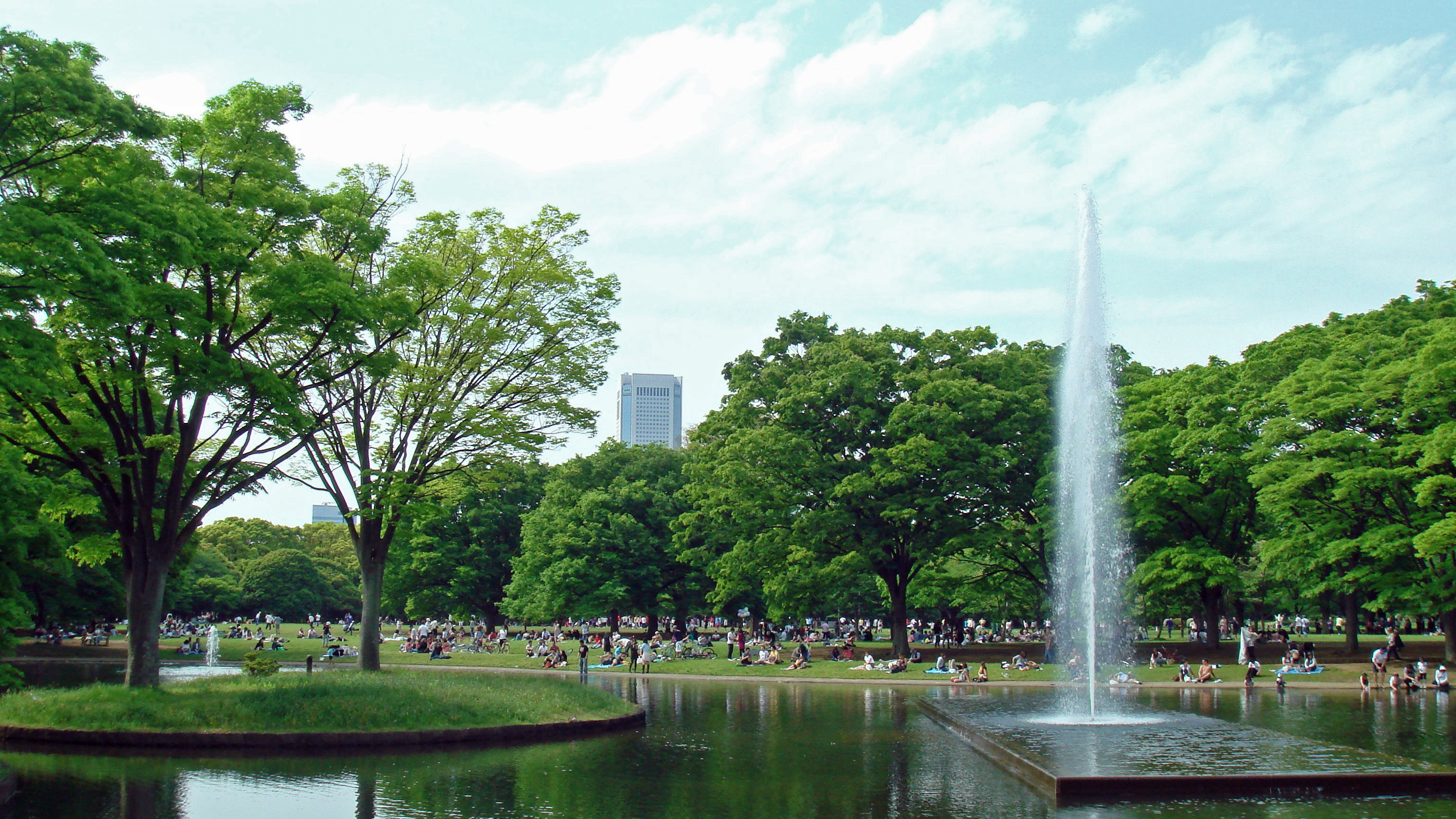 yoyogi park